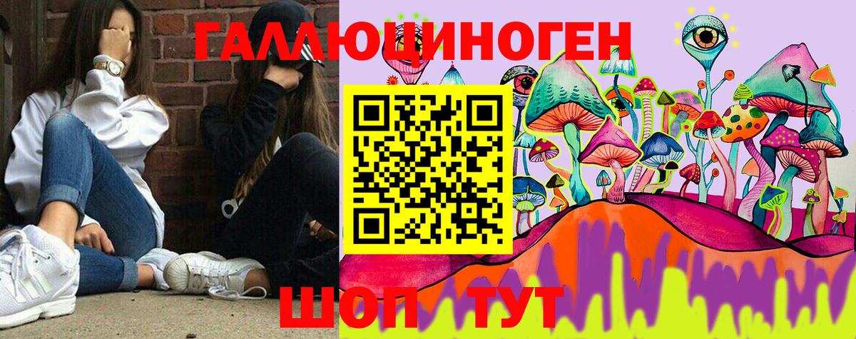Псилоцибиновые грибы Psilocybine cubensis Апшеронск