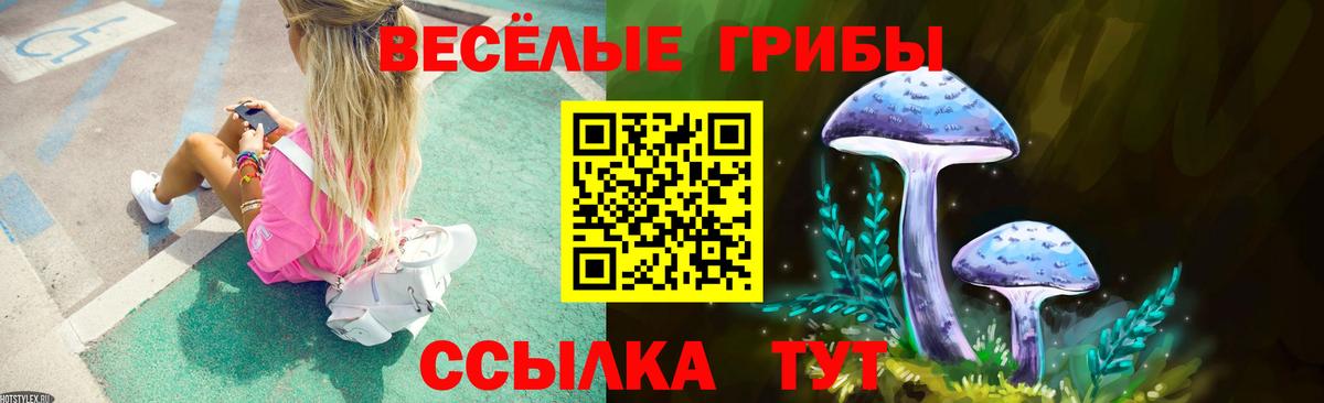 Апшеронск  Галлюциногенные грибы Cubensis  Вход с VPN 
